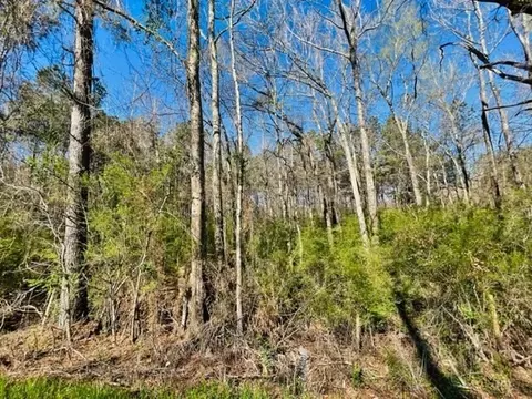 tbd Jayess Rd, Jayess, MS 39641 photo 5