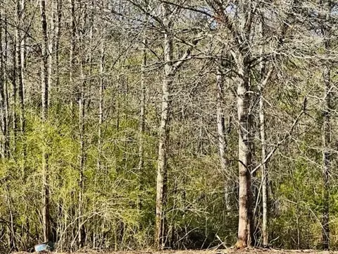 tbd Jayess Rd, Jayess, MS 39641 photo 6