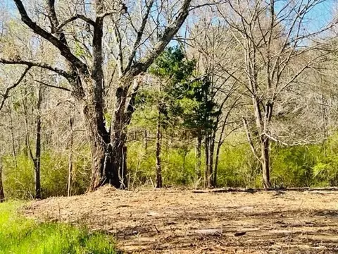 tbd Jayess Rd, Jayess, MS 39641 photo 10