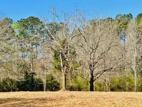 tbd Jayess Rd, Jayess, MS 39641 photo 4