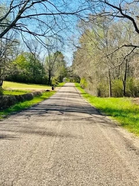 tbd Jayess Rd, Jayess, MS 39641 photo 3