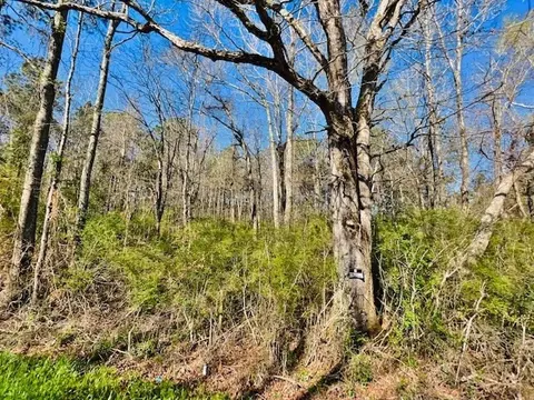 tbd Jayess Rd, Jayess, MS 39641 photo 7