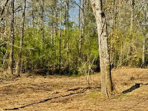 tbd Jayess Rd, Jayess, MS 39641 photo 9