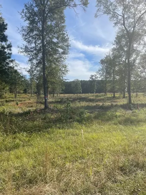 0000 Greenview S 1st 84 H Way, Brookhaven, MS 39601 photo 3