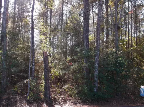 tbd Carpenter Ln, Summit, MS 39666 photo 2