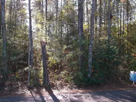 tbd Carpenter Ln, Summit, MS 39666 photo 1