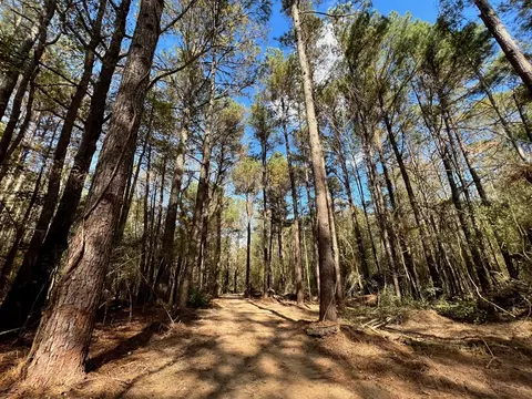 0 Storm Rd, MS photo 6