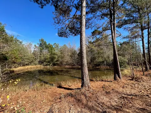 0 Storm Rd, MS photo 3