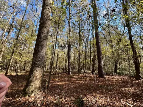 0 Storm Rd, MS photo 8
