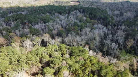 0 Storm Rd, MS photo 19
