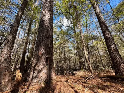 0 Storm Rd, MS photo 1