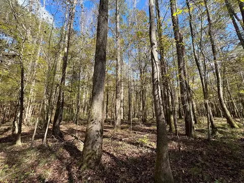 0 Storm Rd, MS photo 11