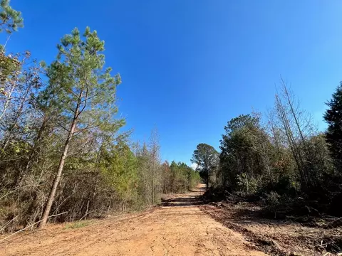 0 Storm Rd, MS photo 4