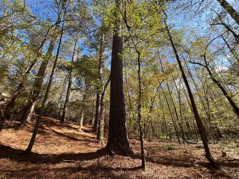 0 Storm Rd, MS photo 10