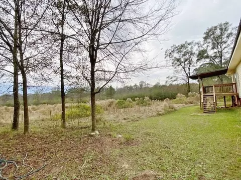 302 Topeka Jayess Rd, Jayess, MS 39641 photo 35