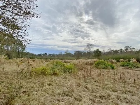 302 Topeka Jayess Rd, Jayess, MS 39641 photo 37