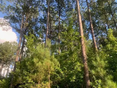 . Dalton Ln Sw, Smithdale, MS 39664
