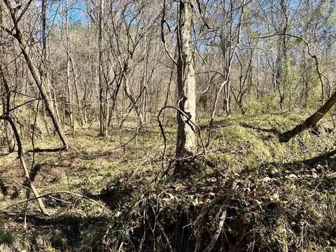 - Mt. Gilead, Roxie, MS 39661 photo 16