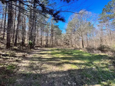 - Mt. Gilead, Roxie, MS 39661 photo 12