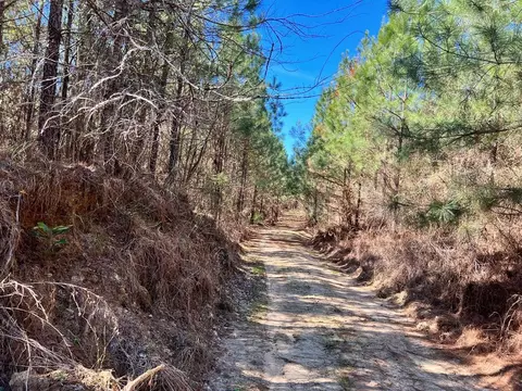 - Mt. Gilead, Roxie, MS 39661 photo 20