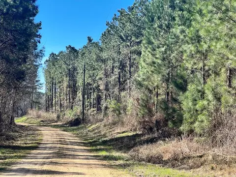 - Mt. Gilead, Roxie, MS 39661 photo 13