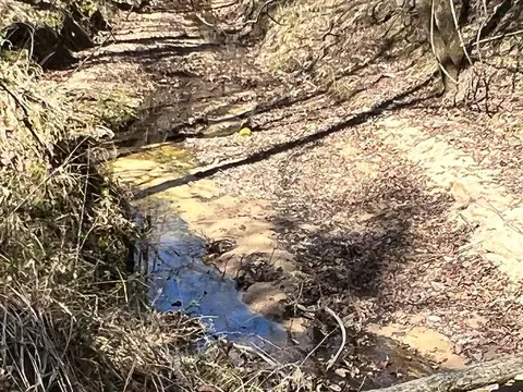 - Mt. Gilead, Roxie, MS 39661 photo 14