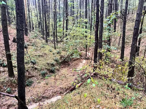- Mt. Gilead, Roxie, MS 39661 photo 26