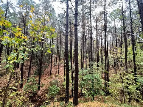 - Mt. Gilead, Roxie, MS 39661 photo 22