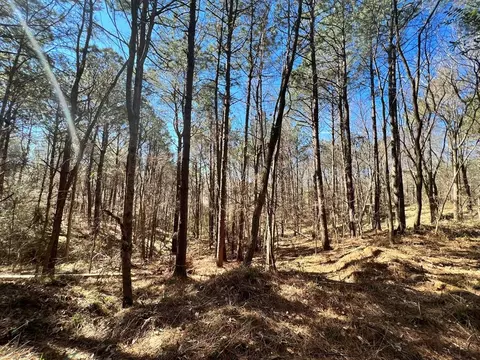 - Mt. Gilead, Roxie, MS 39661 photo 6