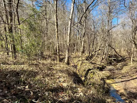 - Mt. Gilead, Roxie, MS 39661 photo 15