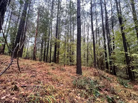 - Mt. Gilead, Roxie, MS 39661 photo 23