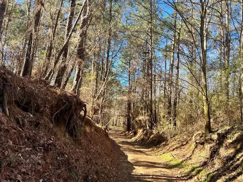 - Mt. Gilead, Roxie, MS 39661 photo 5