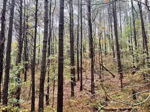 - Mt. Gilead, Roxie, MS 39661 photo 27