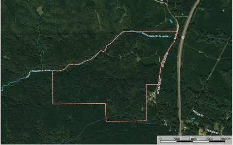 - Mt. Gilead, Roxie, MS 39661 photo 4