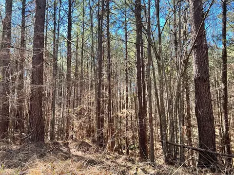 - Mt. Gilead, Roxie, MS 39661 photo 19
