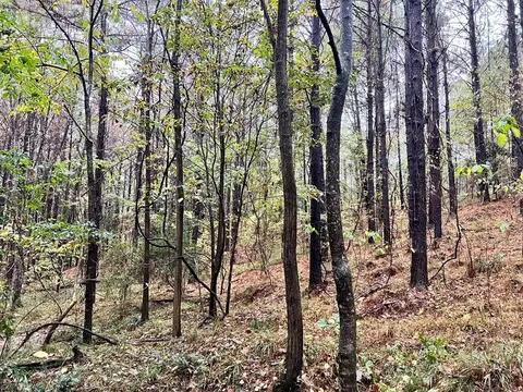 - Mt. Gilead, Roxie, MS 39661 photo 25