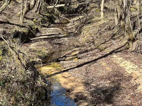 - Mt. Gilead, Roxie, MS 39661 photo 10