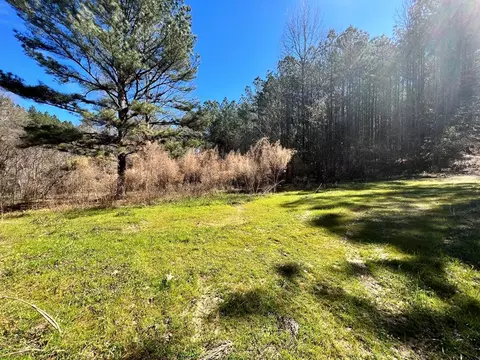 - Mt. Gilead, Roxie, MS 39661 photo 9