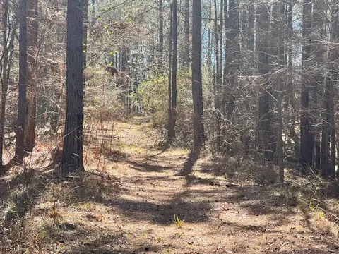 - Mt. Gilead, Roxie, MS 39661 photo 17