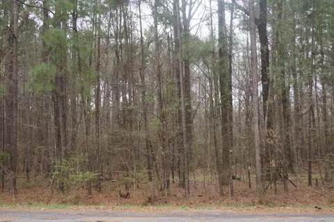 1075 Pine Cove Dr, Terry, MS 39170