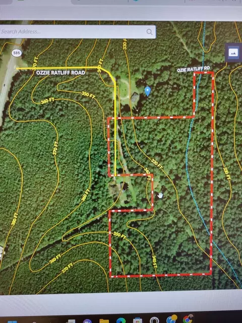 0 Ozzie Ratliff Rd, Tylertown, MS 39667