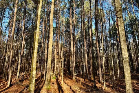 0 Meadville Rd, Liberty, MS 39645