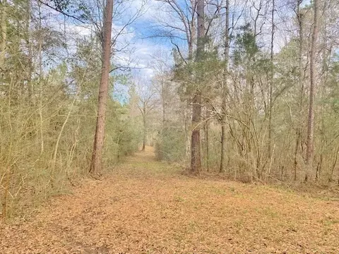tbd Barron Cut Off Rd, Mccomb, MS 39648 photo 9
