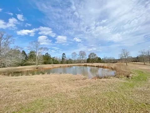 tbd Barron Cut Off Rd, Mccomb, MS 39648 photo 15