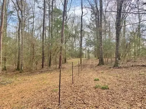 tbd Barron Cut Off Rd, Mccomb, MS 39648 photo 10
