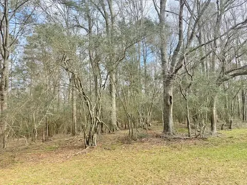 tbd Barron Cut Off Rd, Mccomb, MS 39648 photo 17
