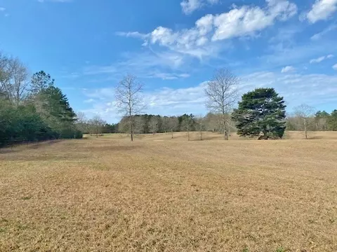 tbd Barron Cut Off Rd, Mccomb, MS 39648 photo 8