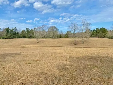 tbd Barron Cut Off Rd, Mccomb, MS 39648 photo 2