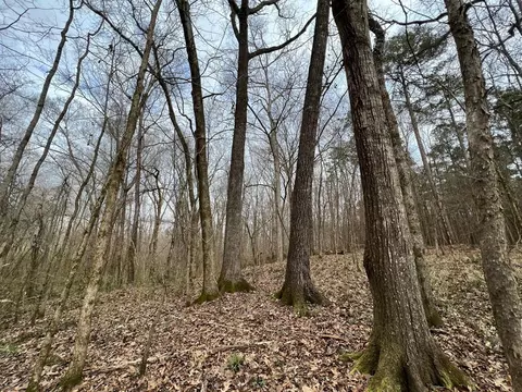 1 Midway Rd, Wesson, MS 39191 photo 5