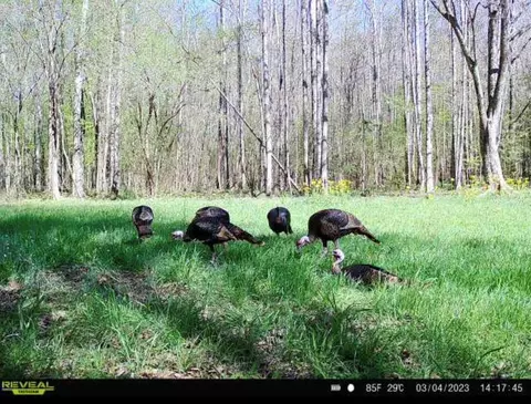 1 Midway Rd, Wesson, MS 39191 photo 30